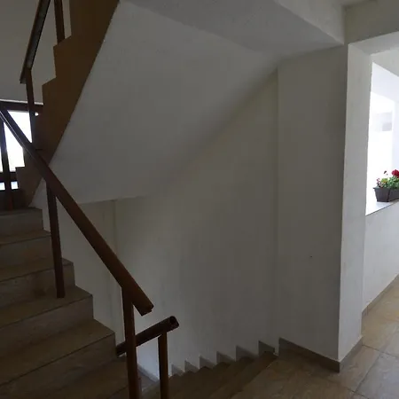 Ii Poienita Hotell 3*