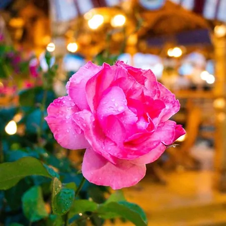 Ii Poienita Hotel Costineşti