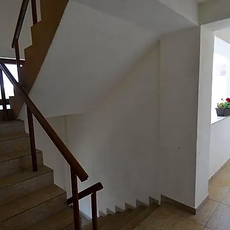 Hotel Ii Poienita 3*